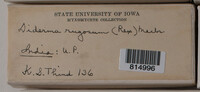 Image Associated With the Occurence